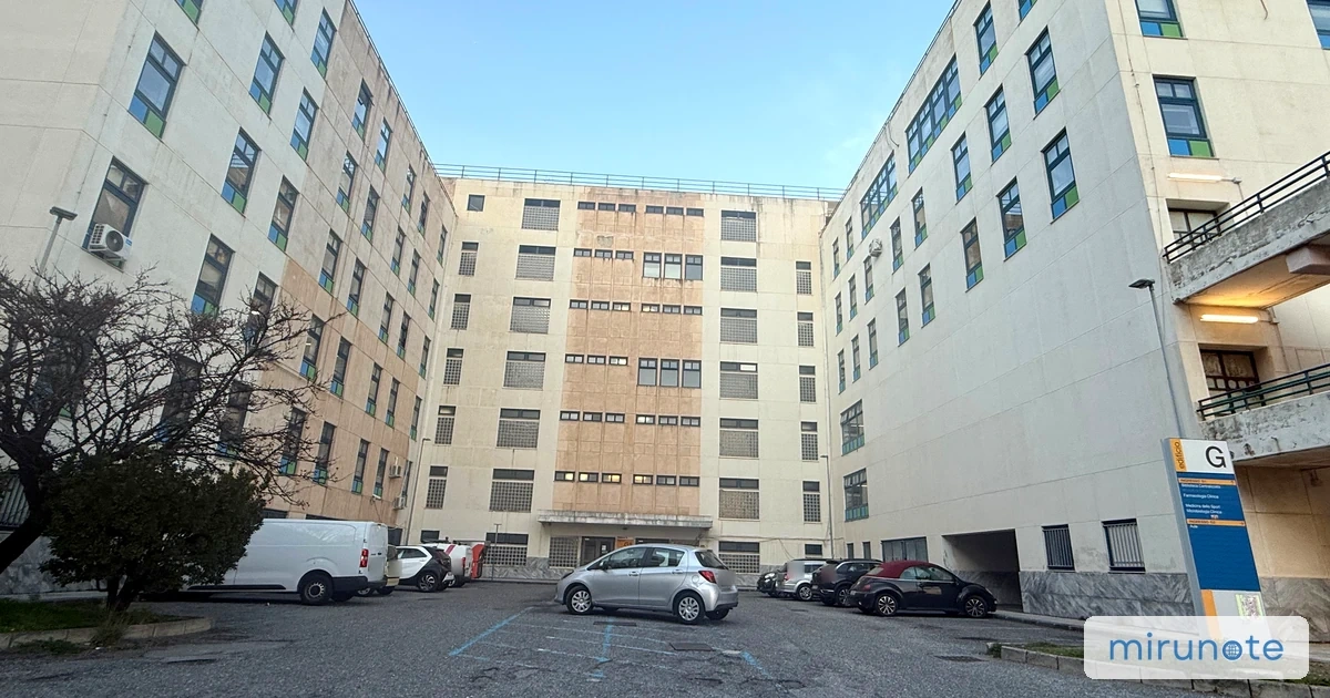 メッシーナ大学のキャンパスの外観