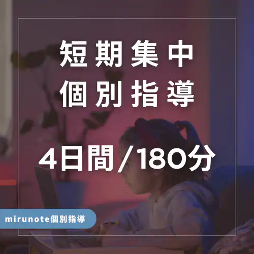 短期集中オンライン個別指導