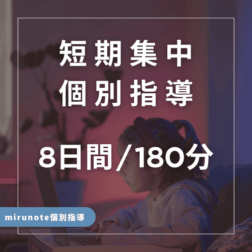 短期集中オンライン個別指導