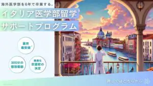 【最新版】イタリア国立医学部入試の合格最低点・募集定員まとめ【IMAT2位合格者が解説】 10 d8bb6265 729c 4db7 993e ca32fa1e83c9