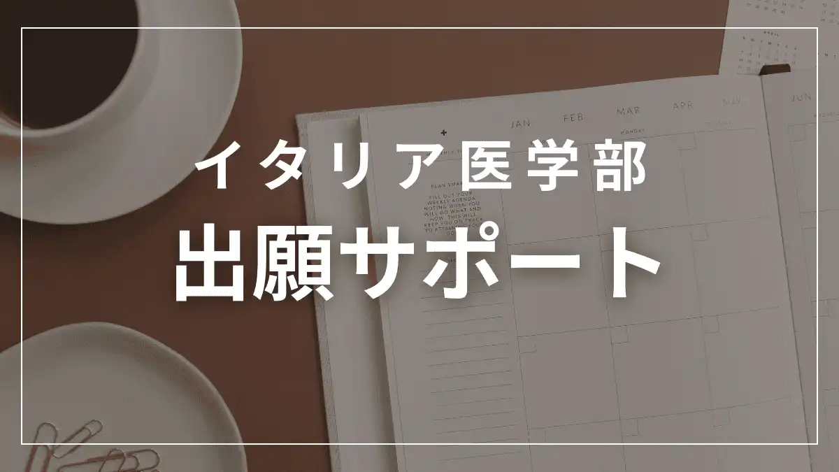 【公式】mirunote|IMAT2位合格者のイタリア医学部入試対策塾・イタリア医学部留学サポート 45 イタリア医学部出願サポート