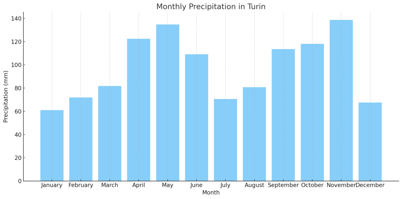 Monthly Precipitation in Turin
